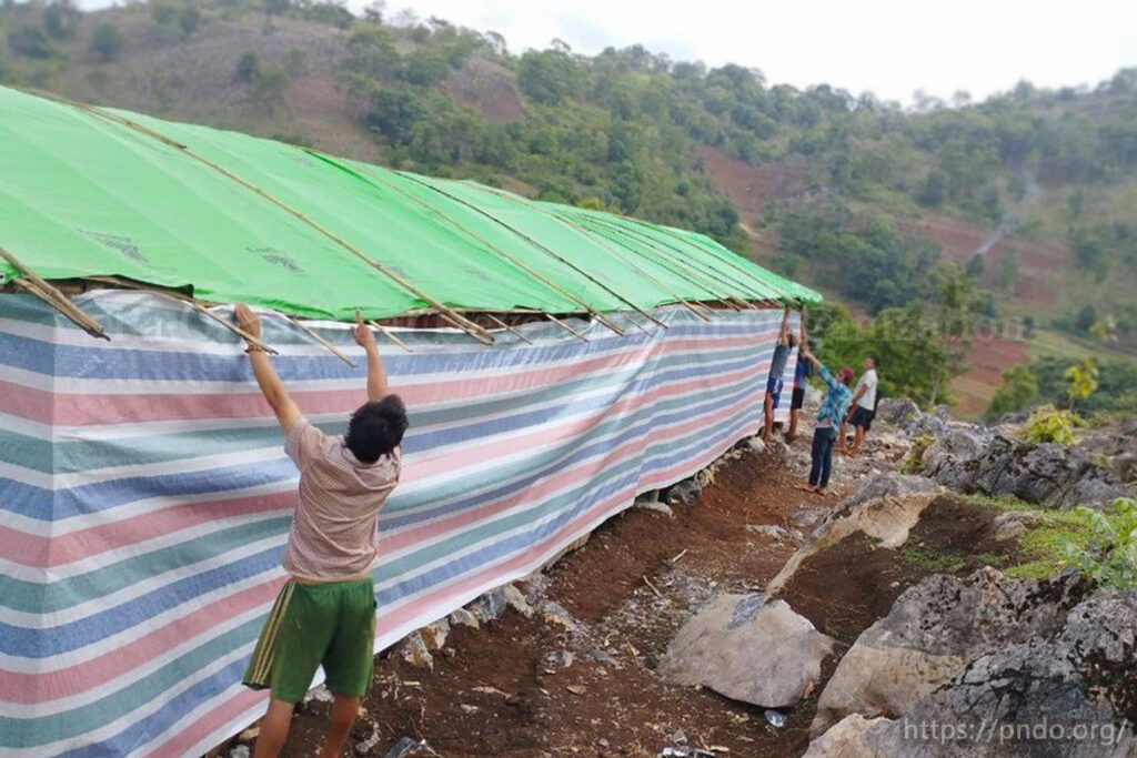 Building Emergency Shelter